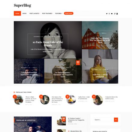 ThemeForest SuperBlog