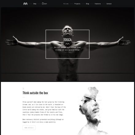 ThemeForest Tosca