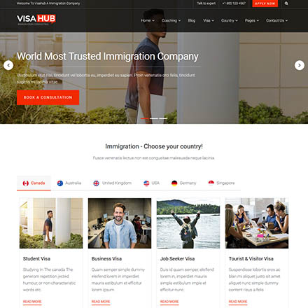 ThemeForest VisaHub