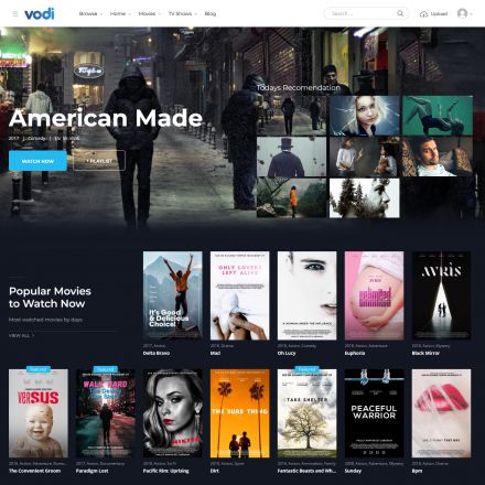 ThemeForest Vodi