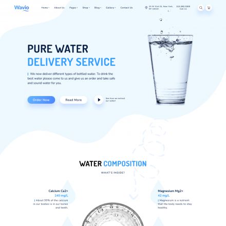 ThemeForest Wavio