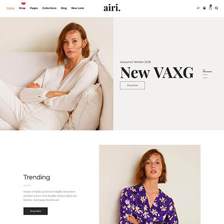 ThemeForest Airi