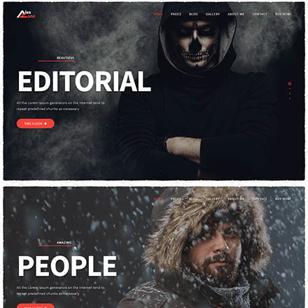 ThemeForest Alex Zane