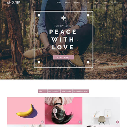 ThemeForest Andier