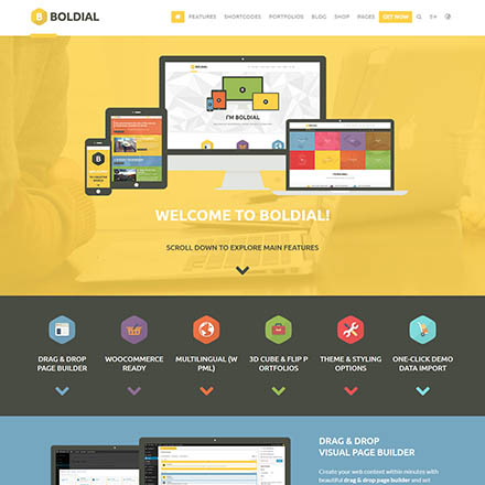 ThemeForest Boldial WP