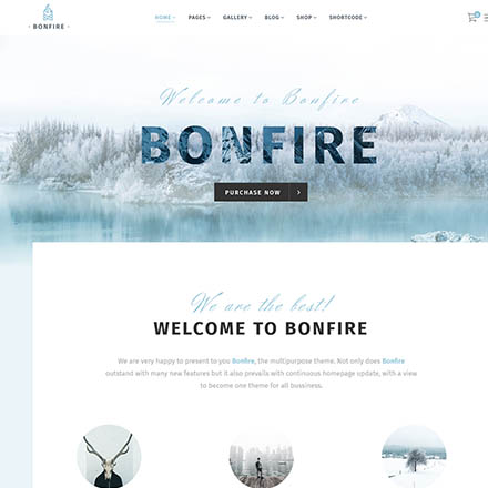 ThemeForest Bonfire