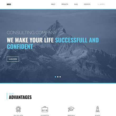 ThemeForest Busis