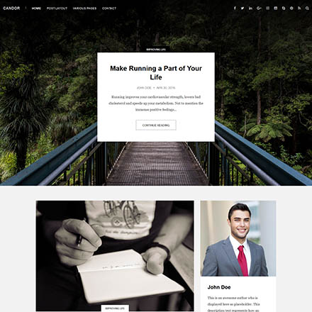 ThemeForest Candor