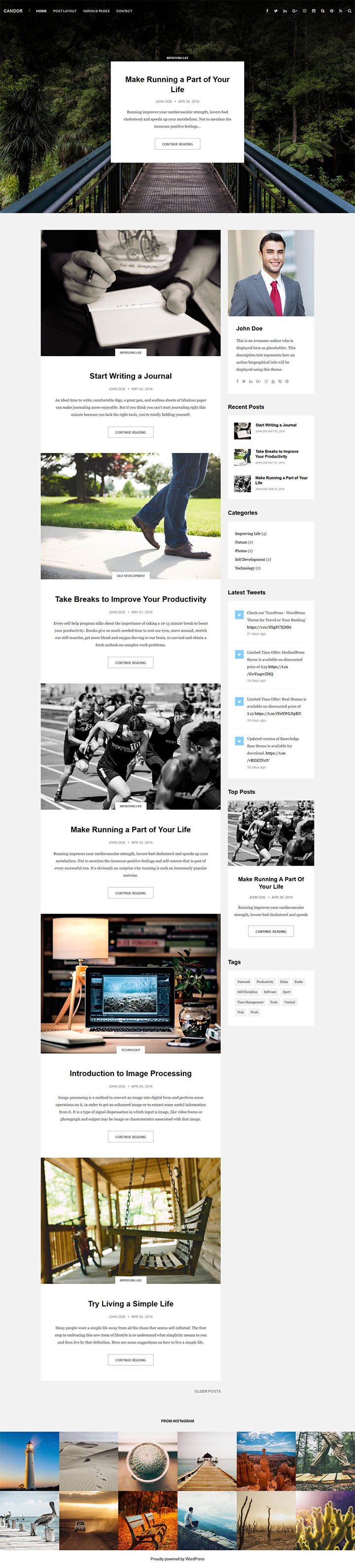 WordPress шаблон ThemeForest Candor