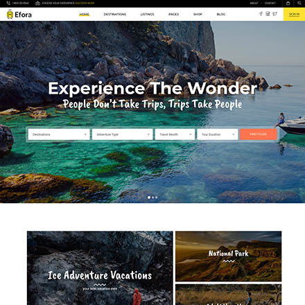 ThemeForest Efora