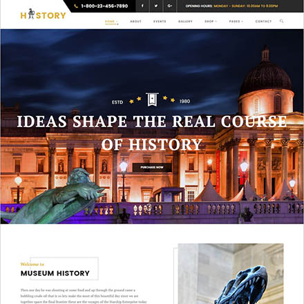 ThemeForest History