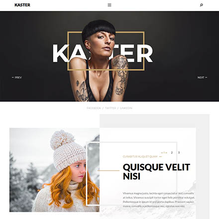 ThemeForest Kaster