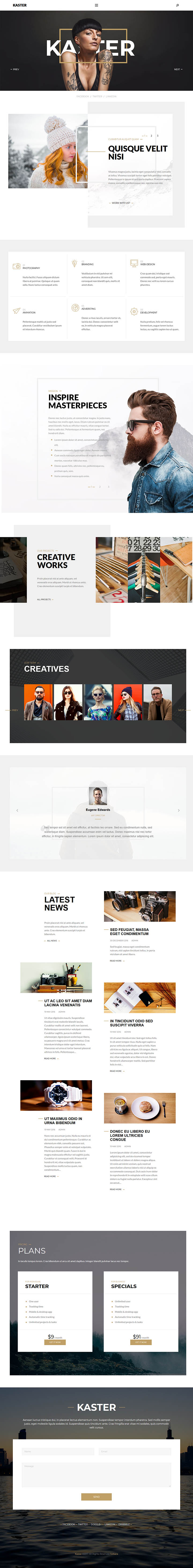 WordPress шаблон ThemeForest Kaster