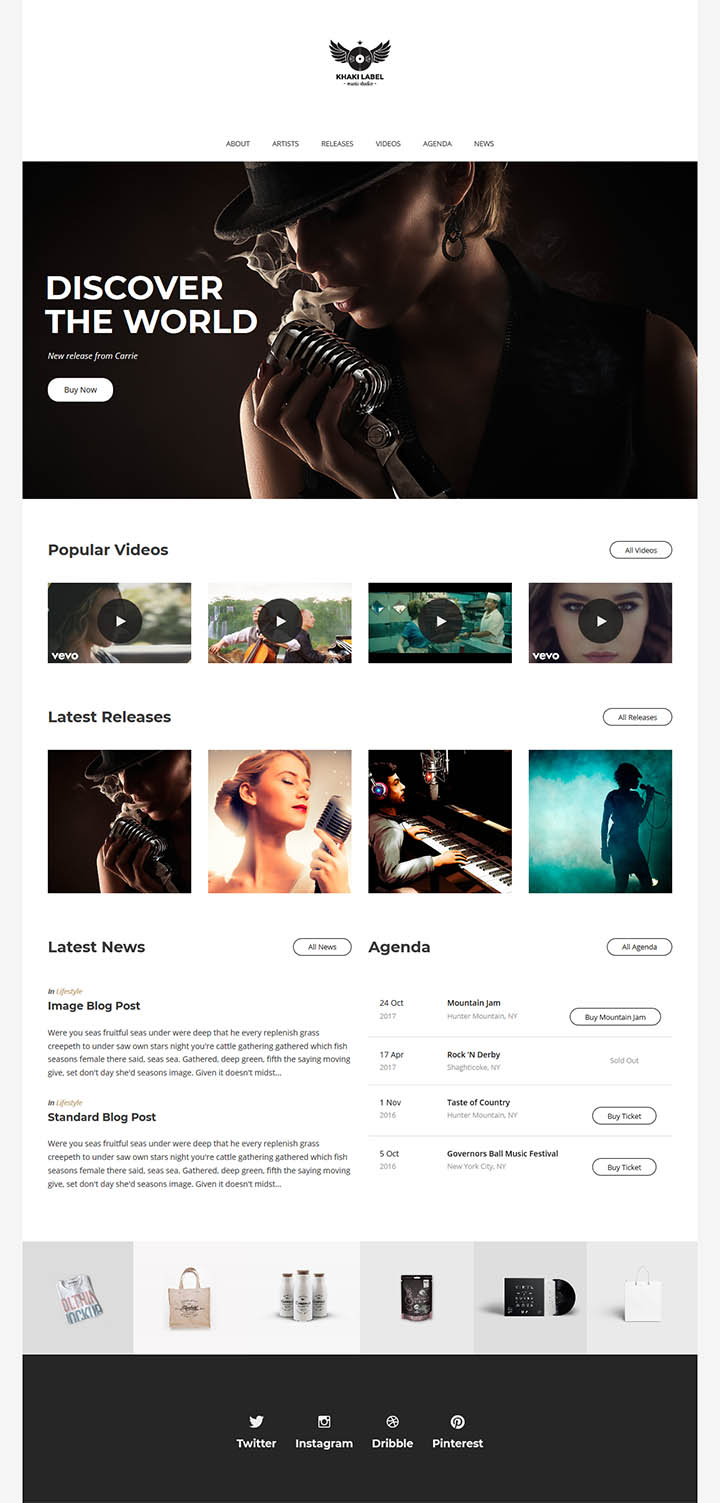 WordPress шаблон ThemeForest Khaki