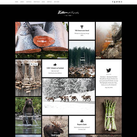 ThemeForest Killeen