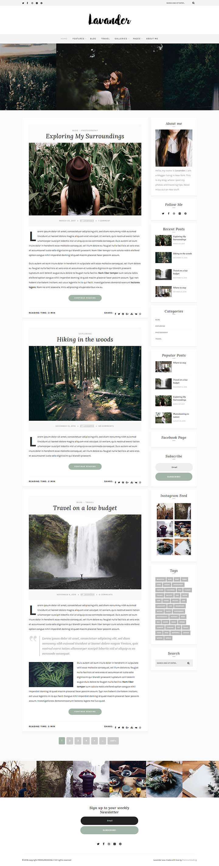 WordPress шаблон ThemeForest Lavander