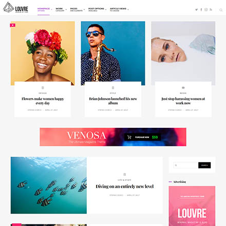 ThemeForest Louvre