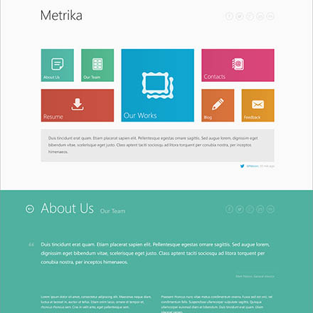 ThemeForest Metrika