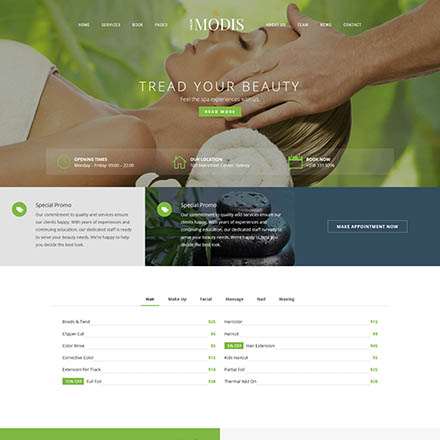 ThemeForest Modis