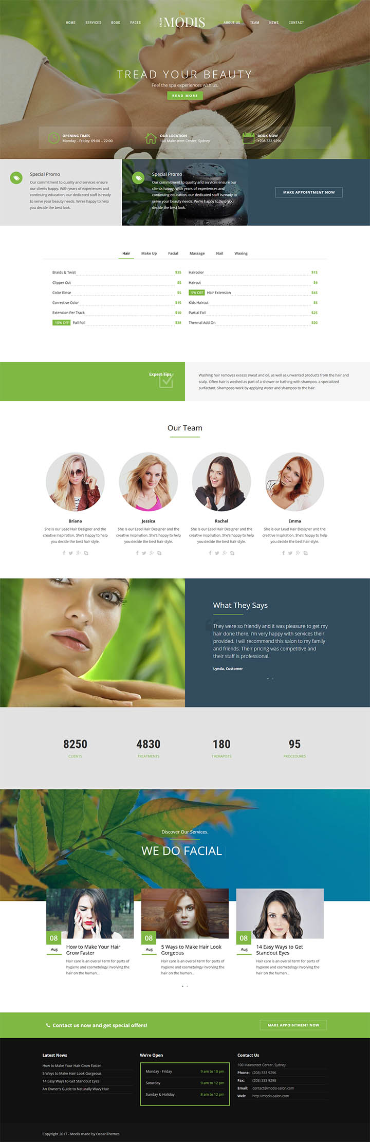 WordPress шаблон ThemeForest Modis