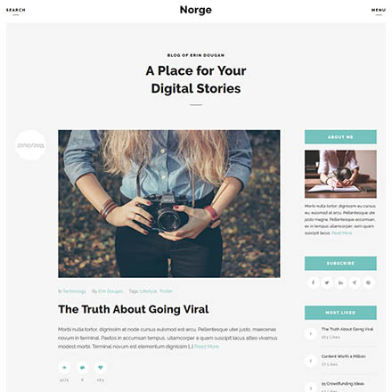 ThemeForest Norge