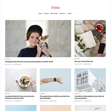 ThemeForest Nubia