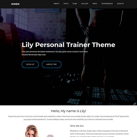 ThemeForest Owen
