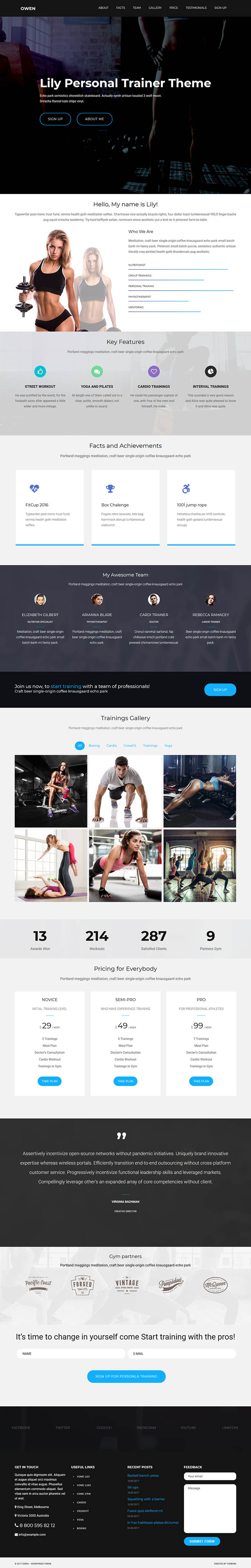 WordPress шаблон ThemeForest Owen