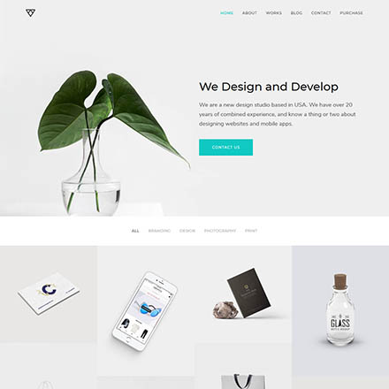 ThemeForest Piroll