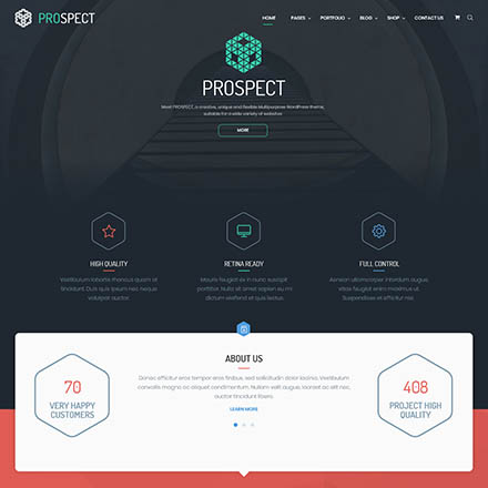 ThemeForest Prospect