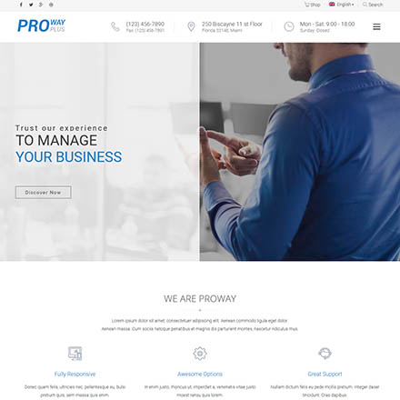 ThemeForest ProWay Plus