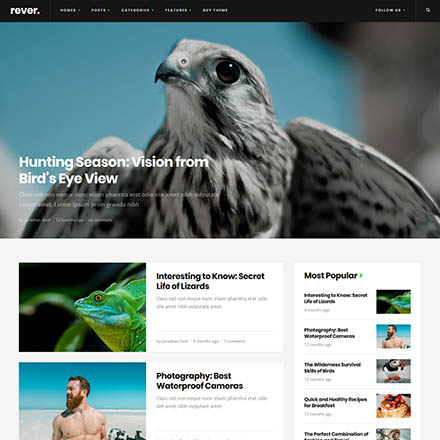 ThemeForest Rever