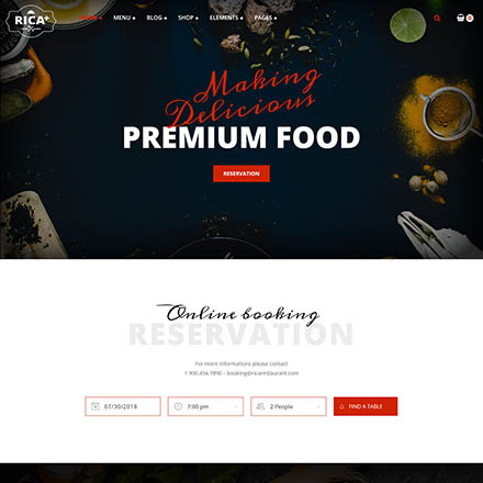 ThemeForest Rica Plus