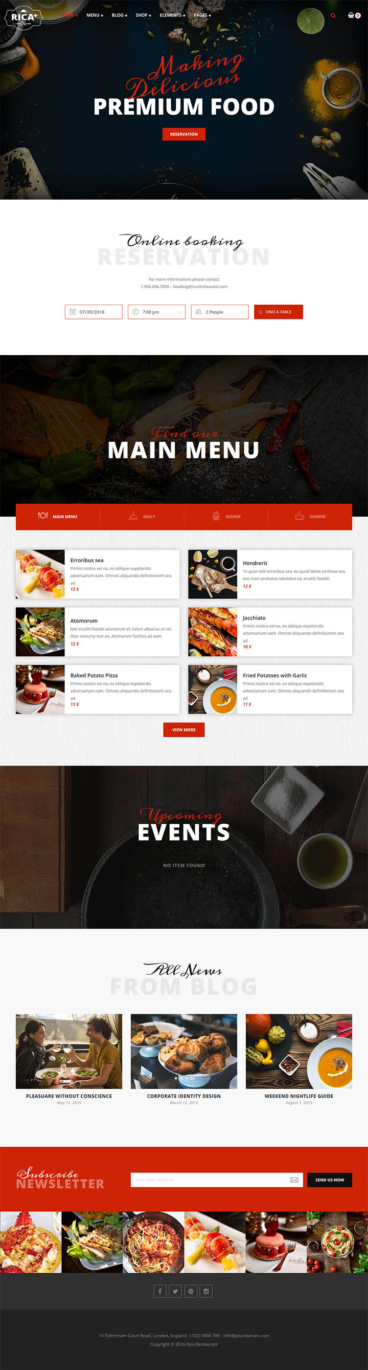 WordPress шаблон ThemeForest Rica Plus