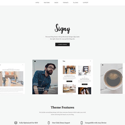 ThemeForest Signy