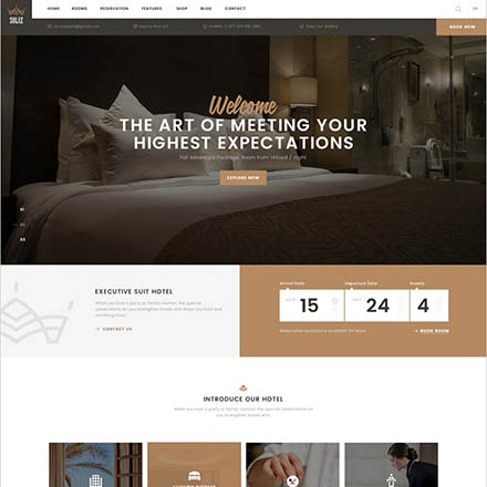 ThemeForest Solaz