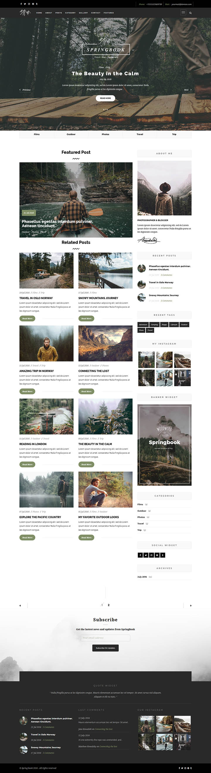 WordPress шаблон ThemeForest Springbook