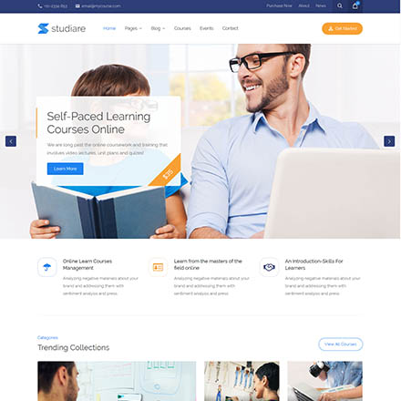 ThemeForest Studiare