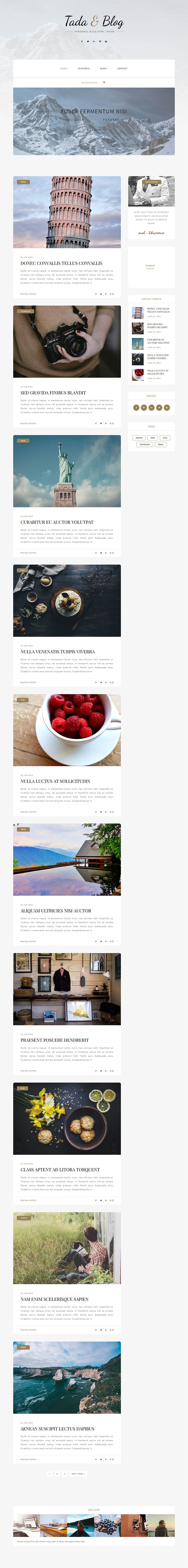 WordPress шаблон ThemeForest Tada & Blog