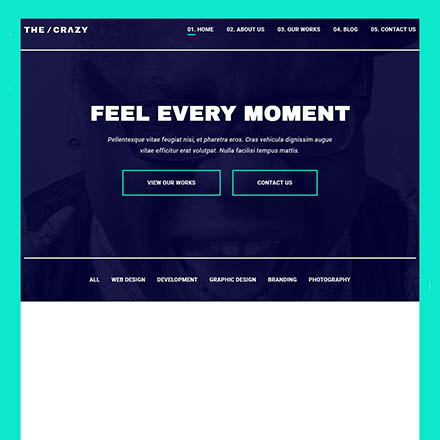 ThemeForest The Crazy