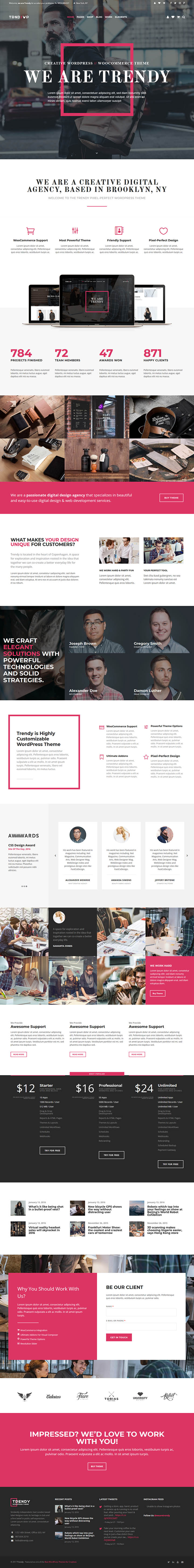 WordPress шаблон ThemeForest Trendy