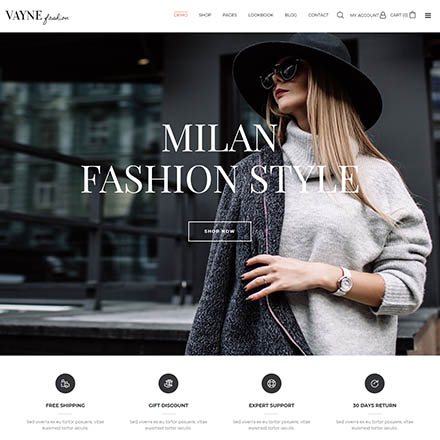 ThemeForest Vayne