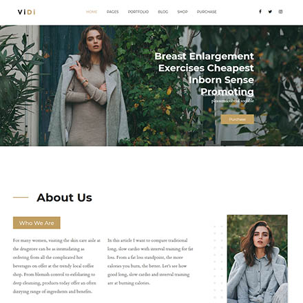 ThemeForest ViDi