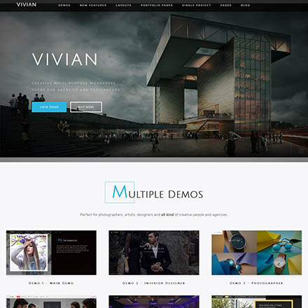 ThemeForest Vivian