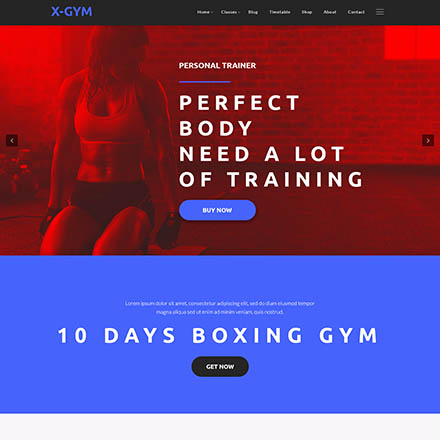 ThemeForest X-Gym