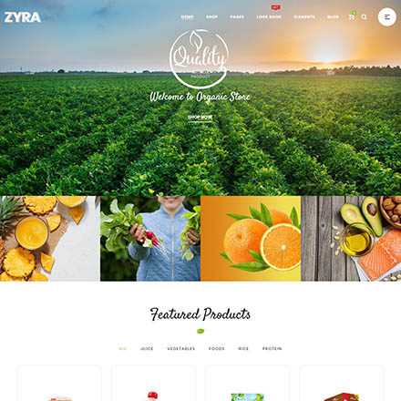 ThemeForest Zyra