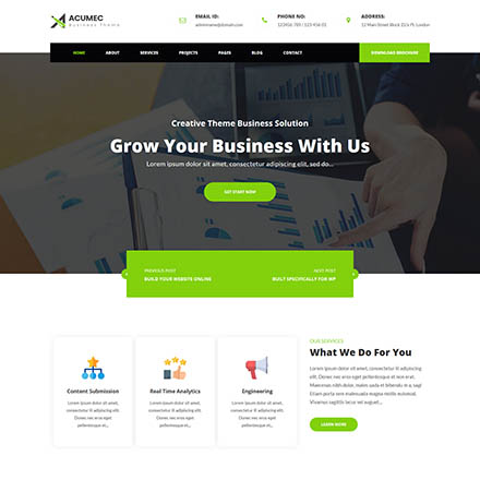 ThemeForest Acumec