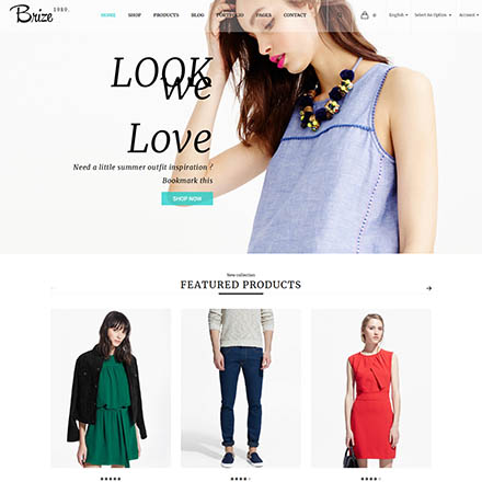 ThemeForest Brize