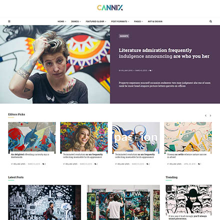 ThemeForest Cannix