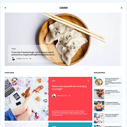 ThemeForest CAVAN